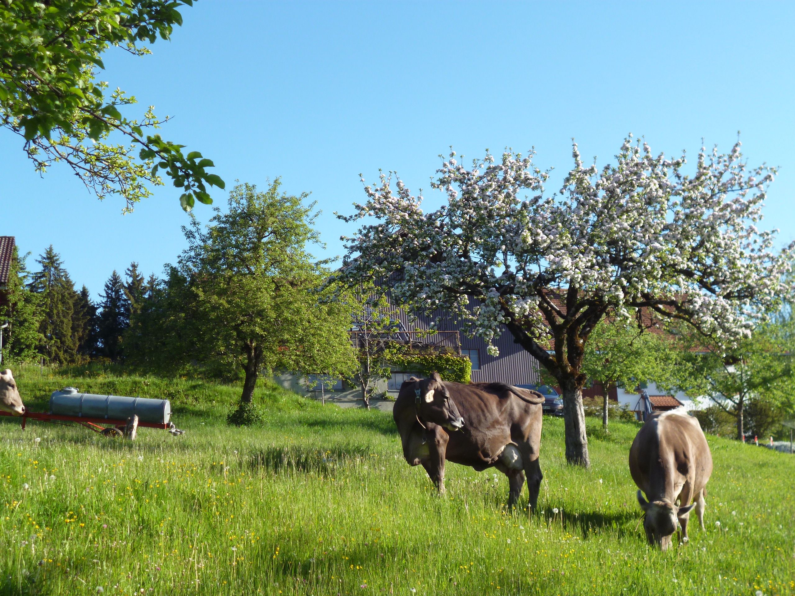 2014-05-21-07-39-07.jpg